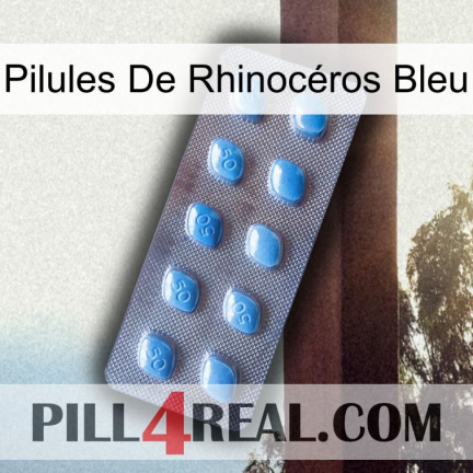 Pilules De Rhinocéros Bleu viagra3